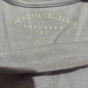 Aeropostale Gray Shrunken Tee